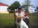 :  > Americký bulldog (American Bulldog)