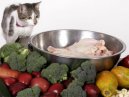 :  > Doporučená dieta při některých orgánových onemocněních (JATERNÍ NEDOSTATEČNOST, RENÁLNÍ DIETA, HYPOALERGENNÍ DIETA, DIETA PŘI CUKROVCE)