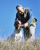:  > Navarrský ohař (Navarro Pointer, Old Spanish Pointer)