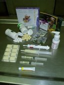 :  > Odčervení psů (Škrkavky, tasemnice, giardióza a kryptosporóza, toxoplazmóza)