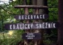 :  > Pardubický kraj
