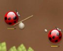 :  > Spider bugs (vtipné free flash hra on-line)