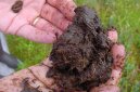 :  > Zemina a půdní směsi (Soil)