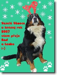 Veselé Vánoce