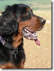 aduš