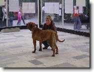 Výstava Olomouc 2007