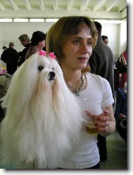 ŽIŽI