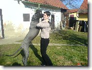 šepity šept
