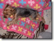 Polední siesta na chaloupce