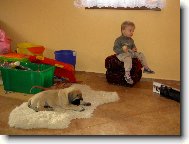 Díváme se na TV