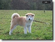 P´Taishi