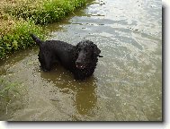 Jess ve vodě