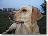 Profil Báry