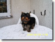 TOBBY jěště miminko