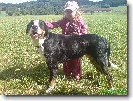Danten a Eliška