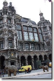 Slony v Antwerpách