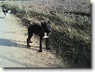 Rox ve 3měsících