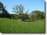 Kodaň-Lyngby
