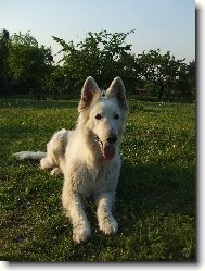 Baruška
