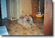 6.5.2008 Náš Filípek(1den doma)