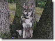Charon od katova můstku
