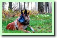 Jimínek