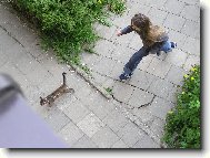Venčení........