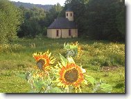 Šejby