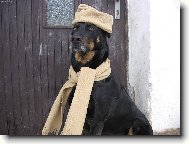 a zima může přijít