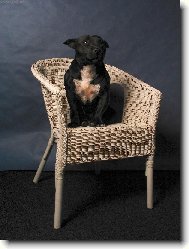 Růženka modelkou