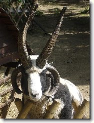 Nezkoušejte mě naštvat!
