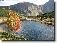 Roháčske pleso