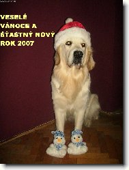 veselé vánoce