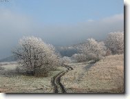 Cestička