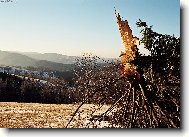 Valašská krajina