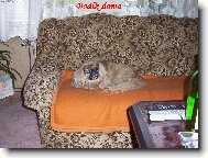 miláček rodiny