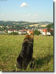 pohled na město