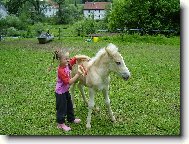 naši miláčkové