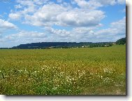 Skutečsko