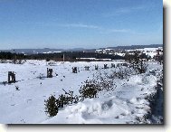 Pdo Plešivcem