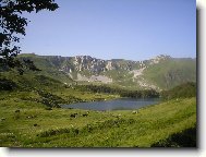 Klidná pastva