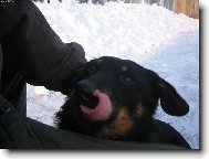 Mňam