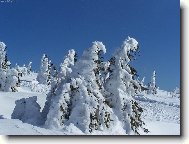 Krkonoše