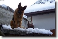 Itálie