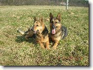 Asta s Charliem (máma a syn-13 a 9 let)