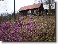 Jaro na Kysucách