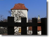 Slezskoostravský hrad