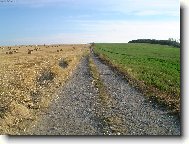 zemědělská