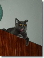 Tonánek