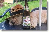 já a paníčkovo pivo...